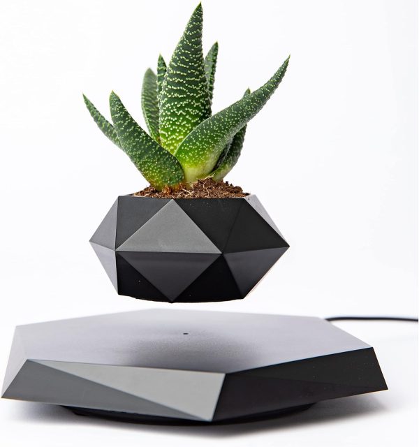 Floating Plant Pot - Image 2