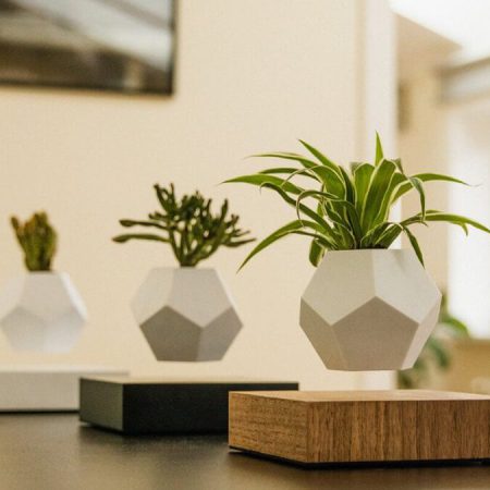 Floating Plant Pot